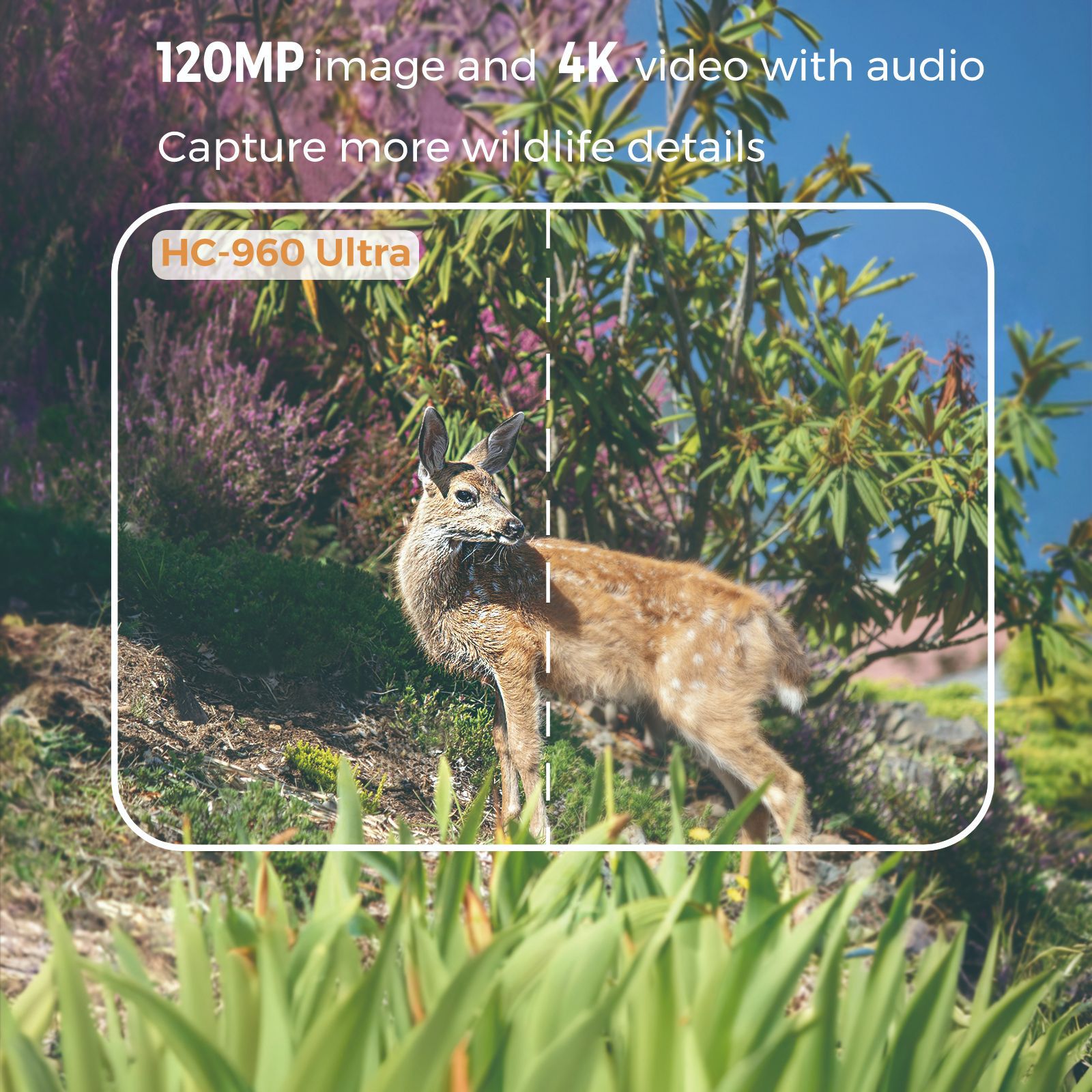 Açık Hava 4K Video 120MP Fotoğ - Outdoor Hunting Video Camera incelemesi ve fiyatı