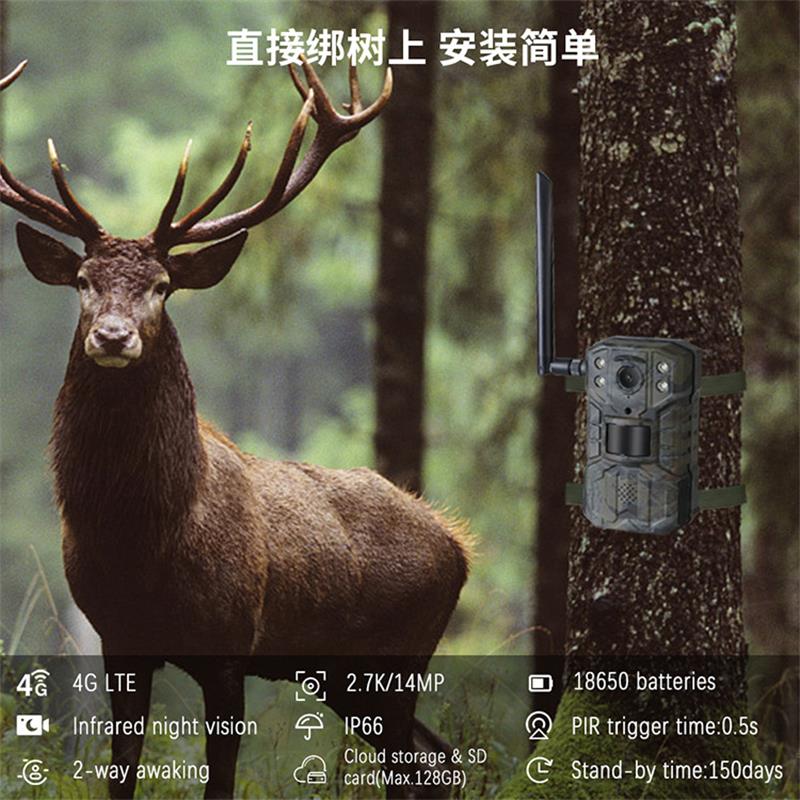 4G LTE Güneş Enerjili Av Kamer - Outdoor Hunting Video Camera incelemesi ve fiyatı