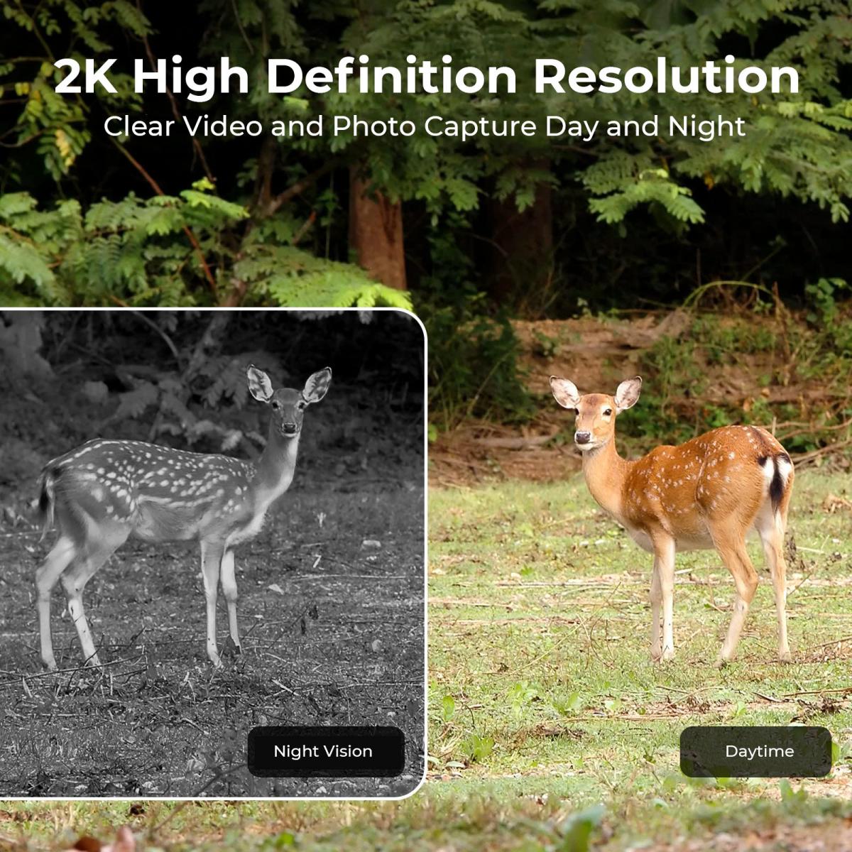 AB 4G Hücresel 2K Pil Güçlü So - Outdoor Hunting Video Camera incelemesi ve fiyatı