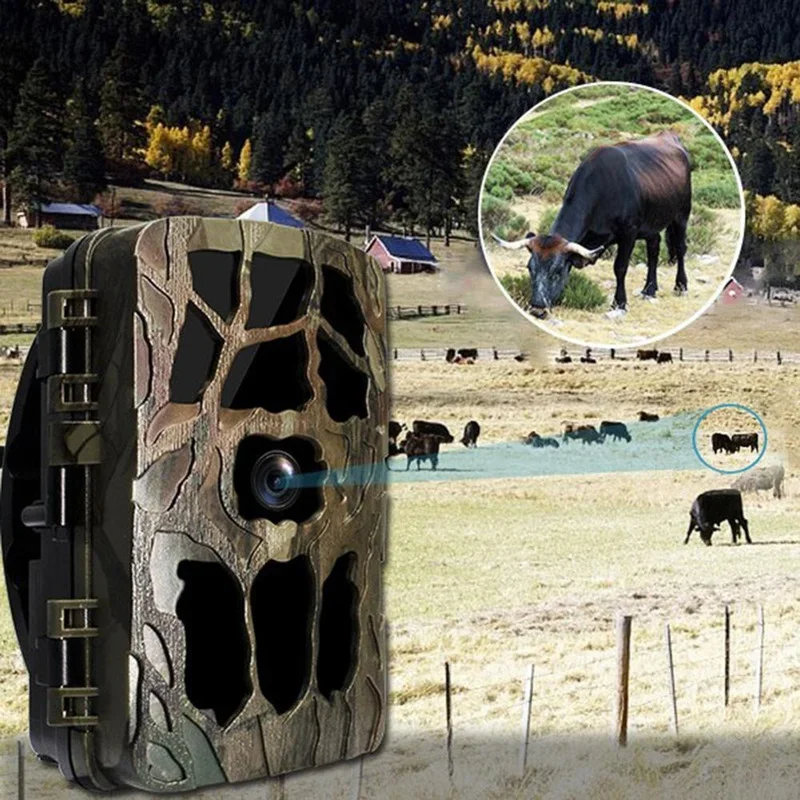 H982 IP66 su geçirmez 4K açık  - Outdoor Hunting Video Camera incelemesi ve fiyatı